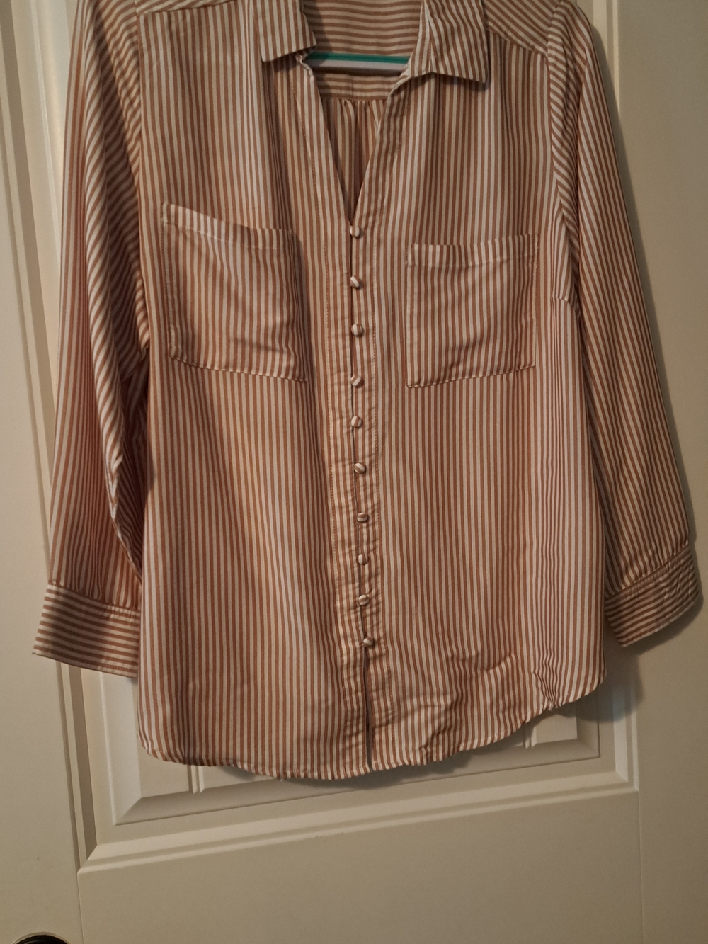 Velvet Heart Cream and Tan Striped Button-Down Shirt